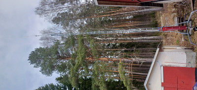 20250427_140738.jpg