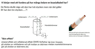 131.jpg