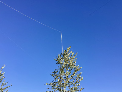 IMG_0514.jpeg (797.52 KiB) Visad 1348 gånger IMG_0514.jpeg